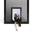 ForceField hinge door options — Petway Pet Door